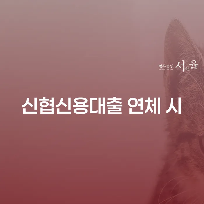 신용카드대출 연체 시 개인회생 처리방법 면담후에