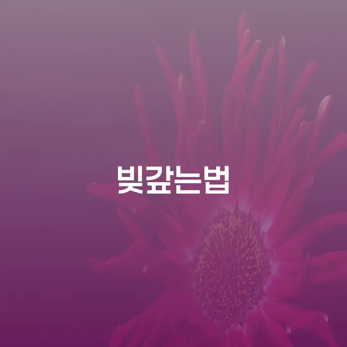 개인회생법무사비용 개인회생으로 해결 가장 먼저 확인할 점