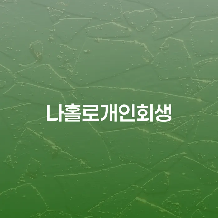의사개인회생 빚 해결할 신청절차에