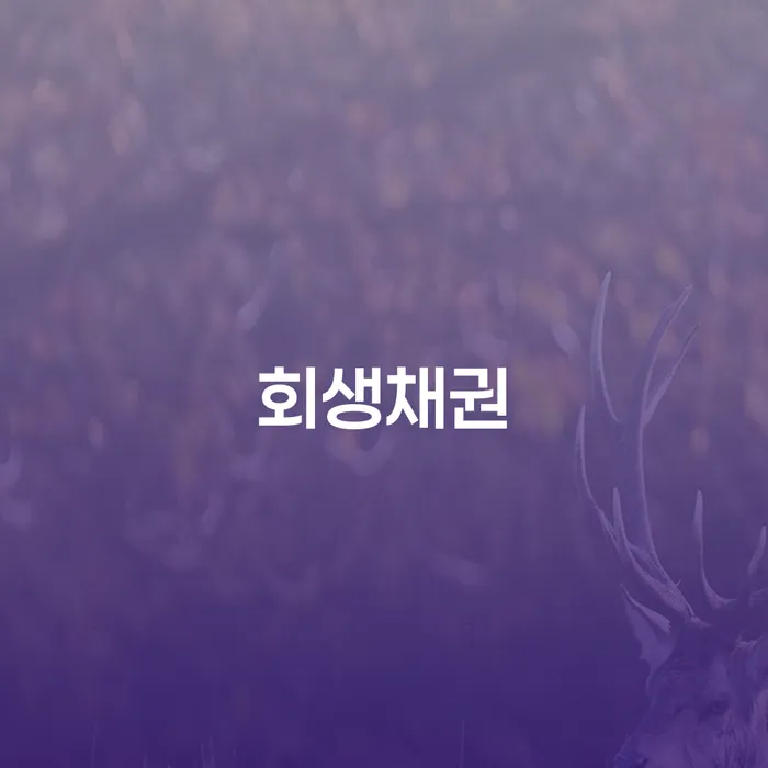 개인회생통장사용 빚갚는 방법 잘하는 사무소