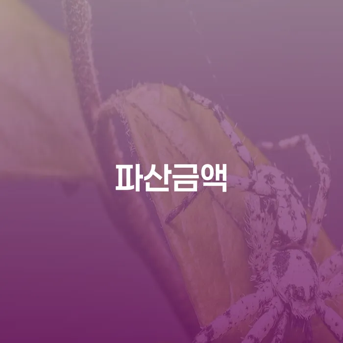 개인회생신청자격 추심 대응법 경험 많은 곳에서