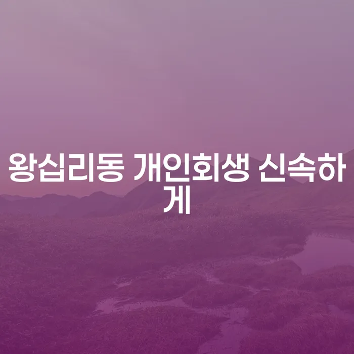 왕십리동 개인회생 신속하게