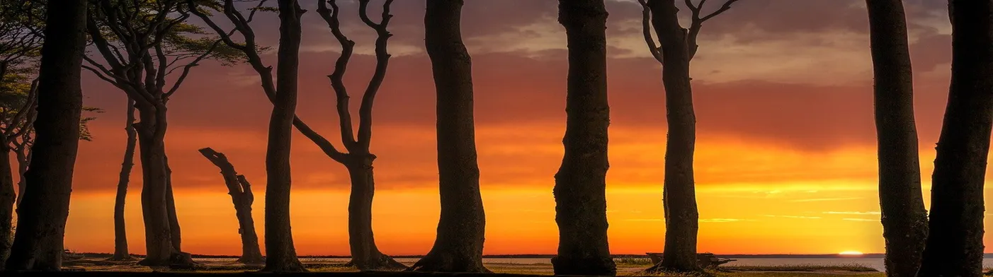 법무법인 서앤율