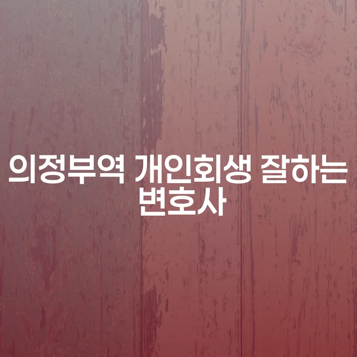 의정부역 개인회생 잘하는 변호사