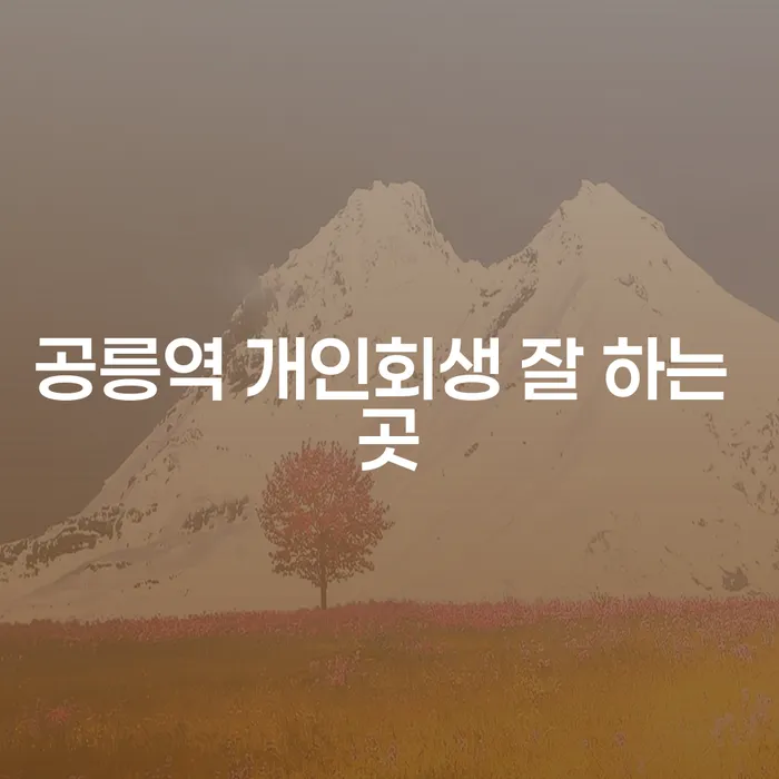 공릉역 개인회생 잘 하는 곳