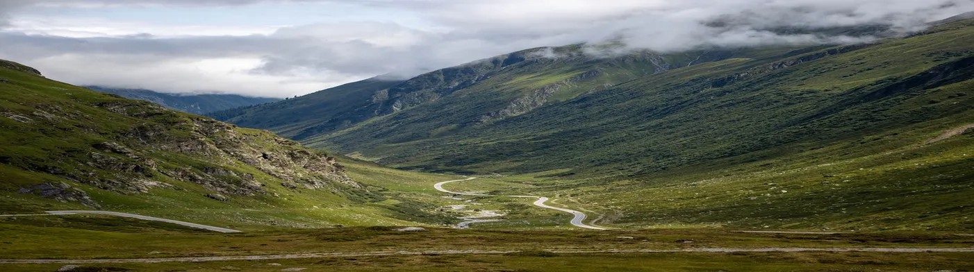 법무법인 서앤율
