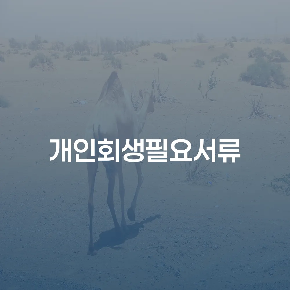개인회생 필요서류 준비와 절차의 중요성