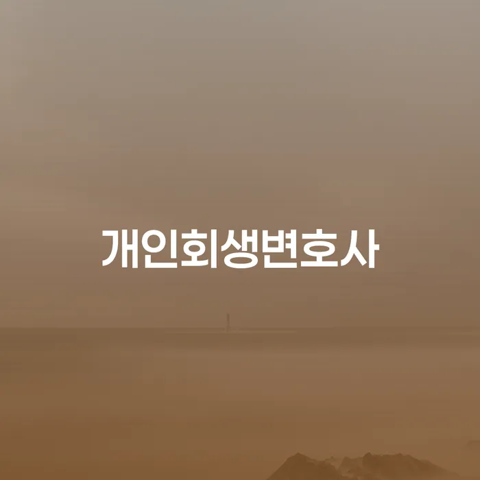 신당5동 개인회생변호사와 개인회생 및 파산 절차의 이해