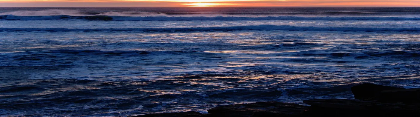 법무법인 서앤율