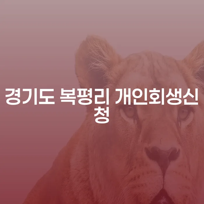 경기도 복평리 개인회생신청, 어떻게 해야 할까요?
