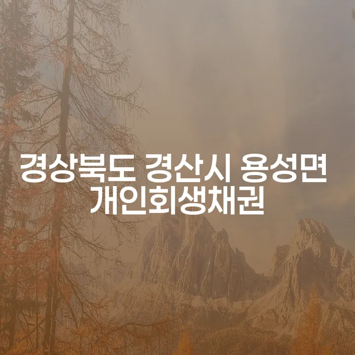 경상북도 경산시 용성면에서 개인회생채권 신청, 무엇이 중요할까요?