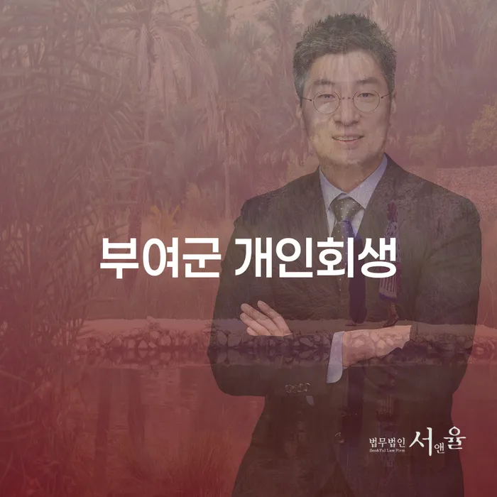 부여군 주민을 위한 개인회생: 배우자 명의 재산은 어떻게 처리될까요?